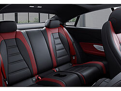 Braunschweig Mercedes-Benz E 53 Fahrzeugbild - 9